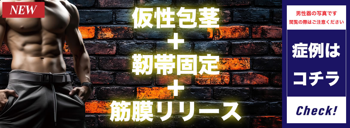 仮性包茎+靭帯固定+筋膜リリース